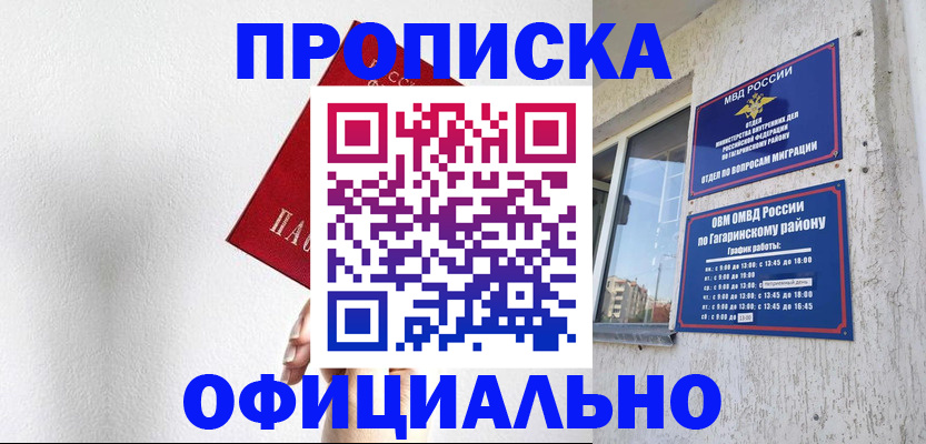 найти адрес прописки в Бородино